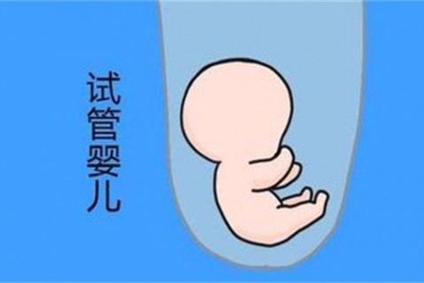 http://haerbin.vdtfzz.com/post/194.html|哈尔滨新闻中心